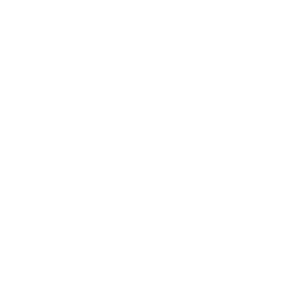 Lead Management Systems